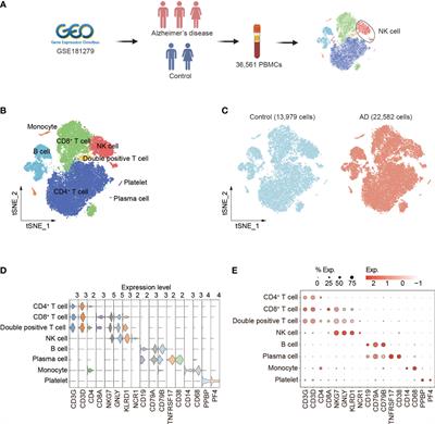 Frontiers | Alzheimer’s Disease Alters The Transcriptomic Profile Of ...